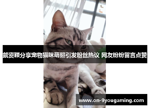 戴资颖分享宠物猫咪萌照引发粉丝热议 网友纷纷留言点赞